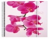 Nature-LILL, N�dal A5 horisontaal
